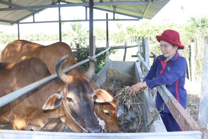 Xã Hòa Trí: Tiếp sức cho phụ nữ phát triển kinh tế