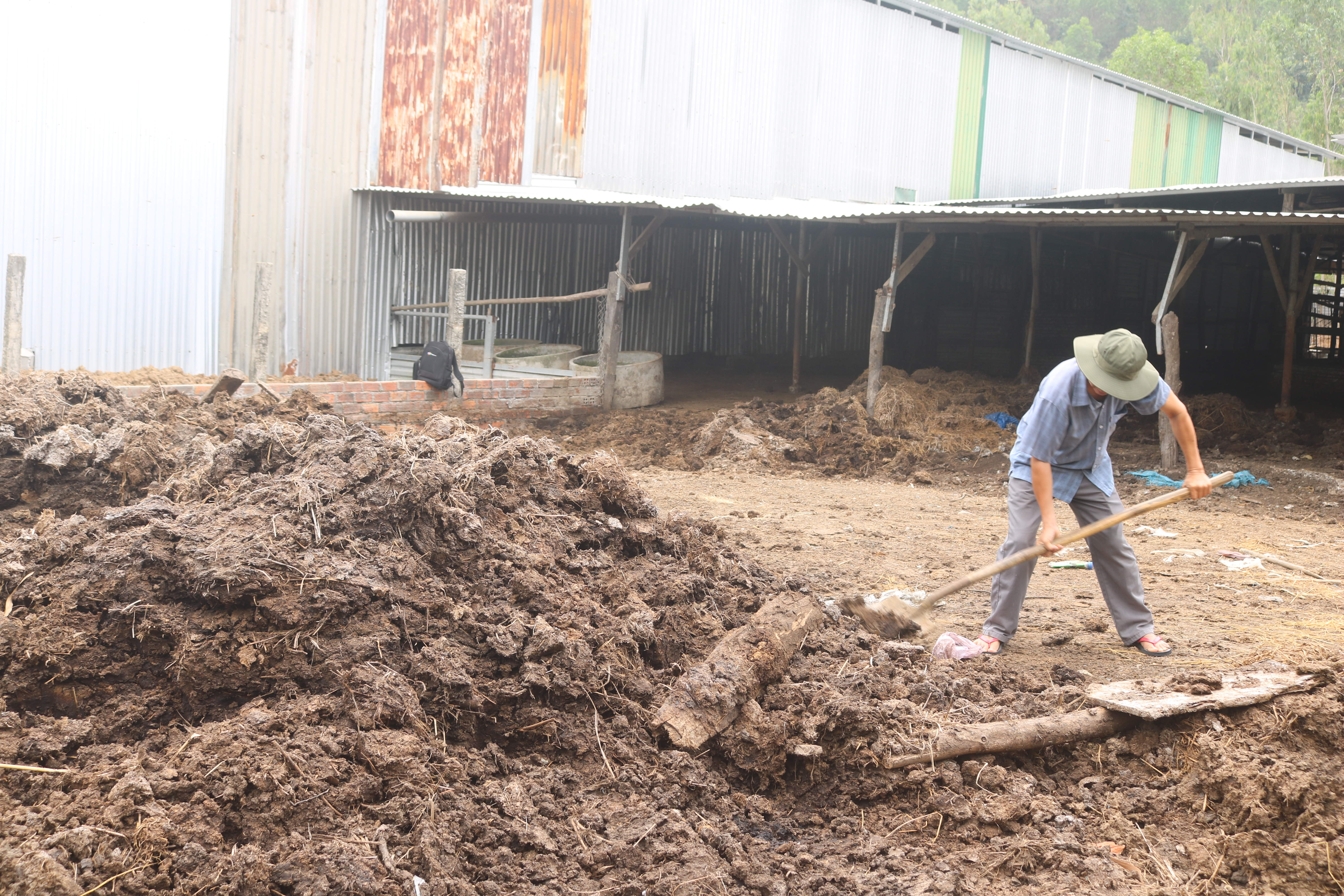 Diên Khánh: Thiếu nguồn phân hữu cơ bón cho cây trồng