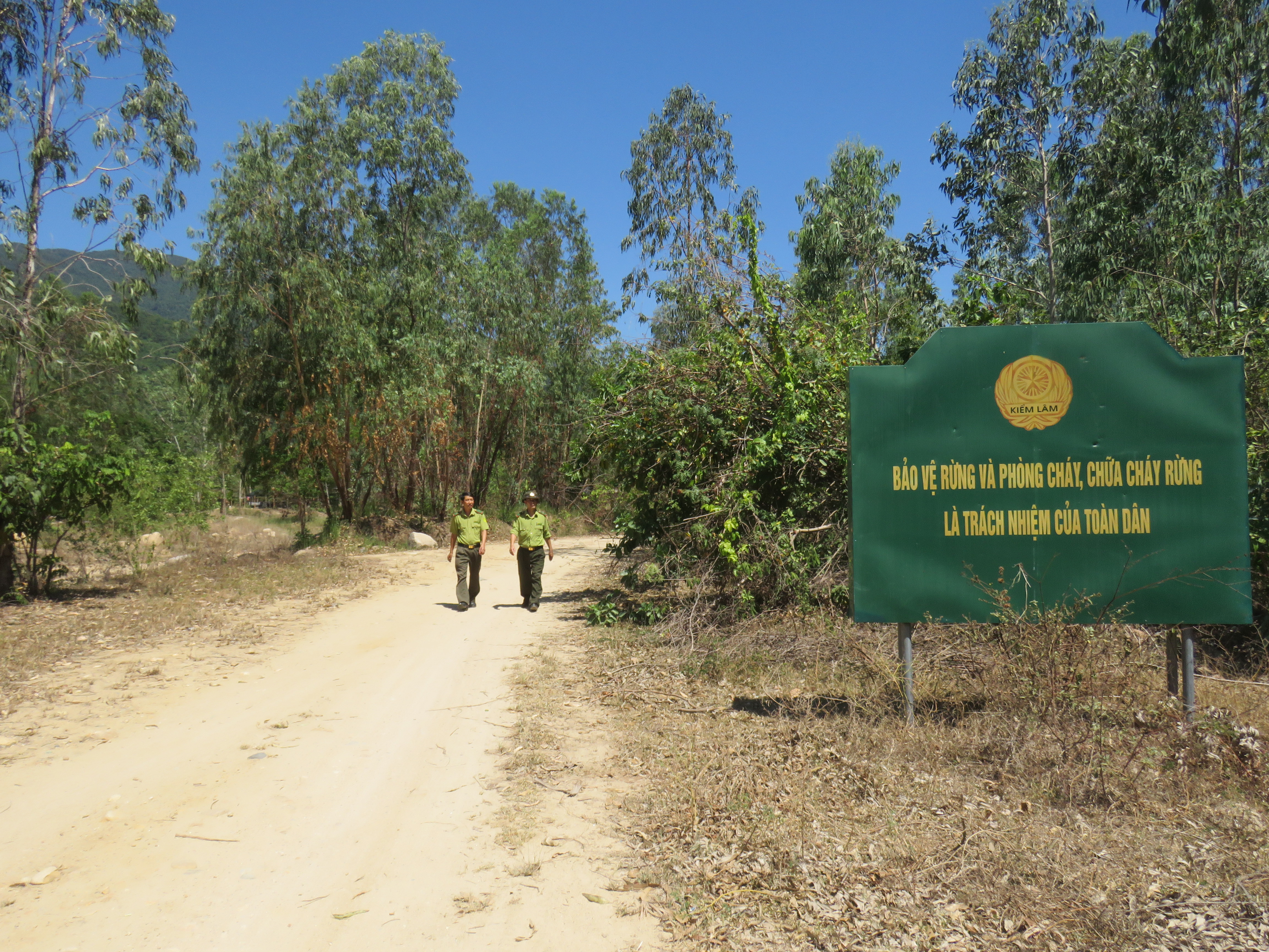 Vạn Ninh: Chủ động phòng, chống cháy rừng
