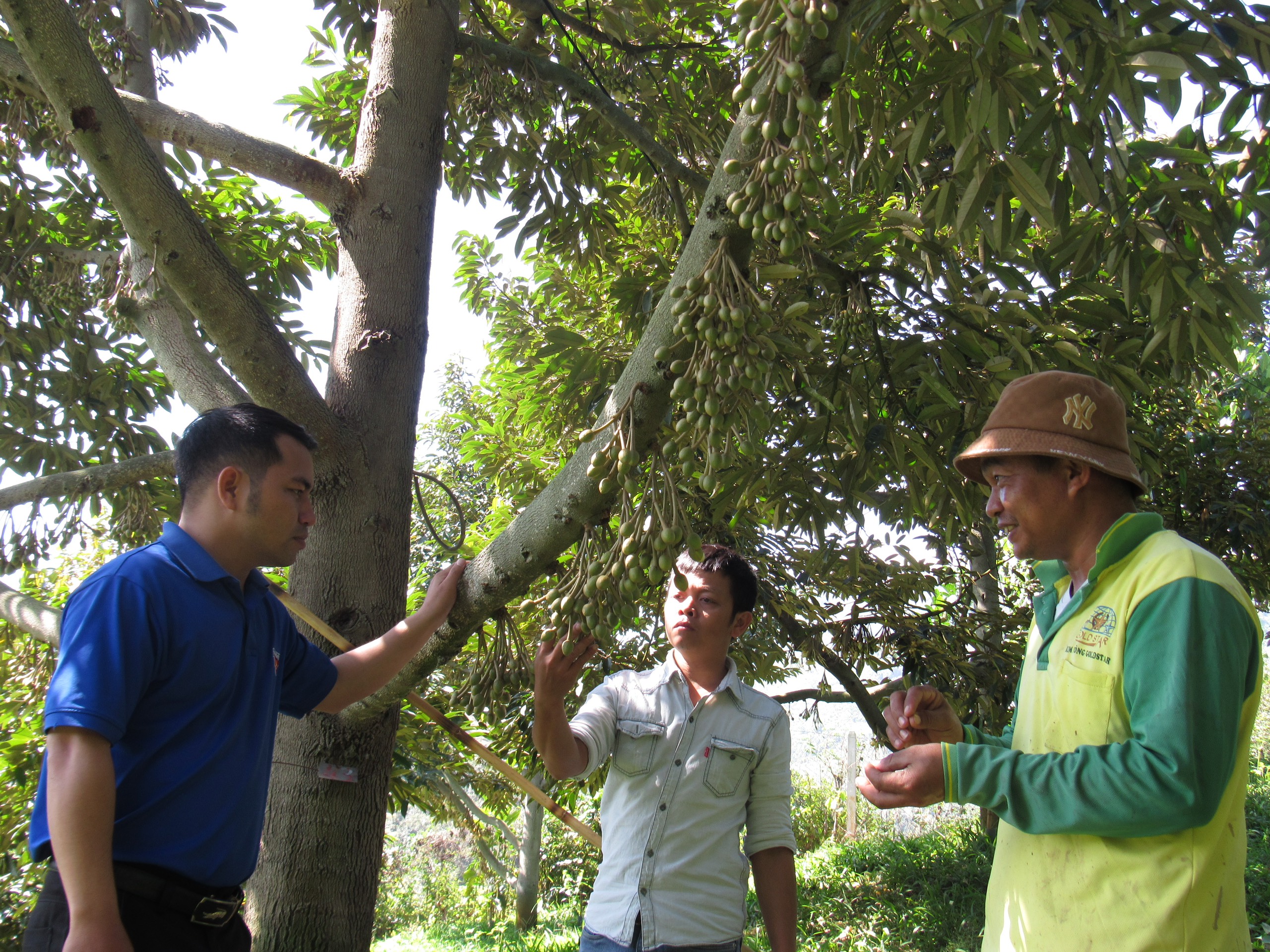 Khánh Sơn: Người dân thay đổi nhận thức để thoát nghèo