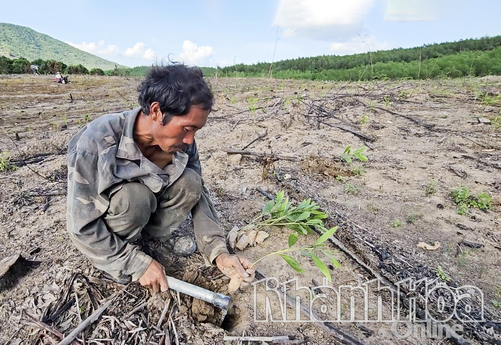 Ninh Hòa đẩy mạnh quản lý, bảo vệ rừng 
