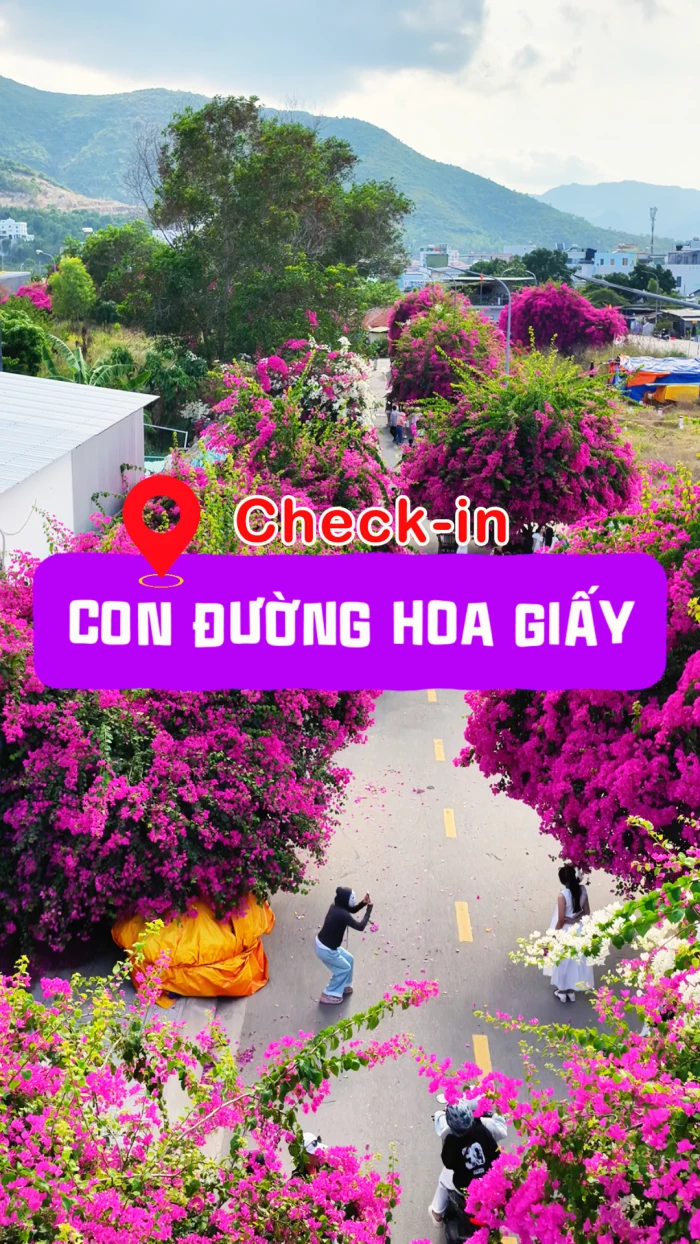 Check-in con đường hoa giấy bích họa Vĩnh Trường