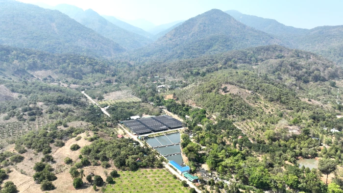 Mô hình nuôi cá tầm ở xã Bác Ái Tây: Khai thác tốt lợi thế vùng cao