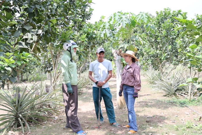 Đòn bẩy giảm nghèo bền vững ở Khánh Vĩnh