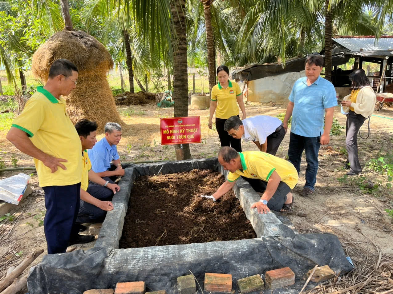 Canh tác hữu cơ: Phương thức giảm áp lực chi phí đầu vào