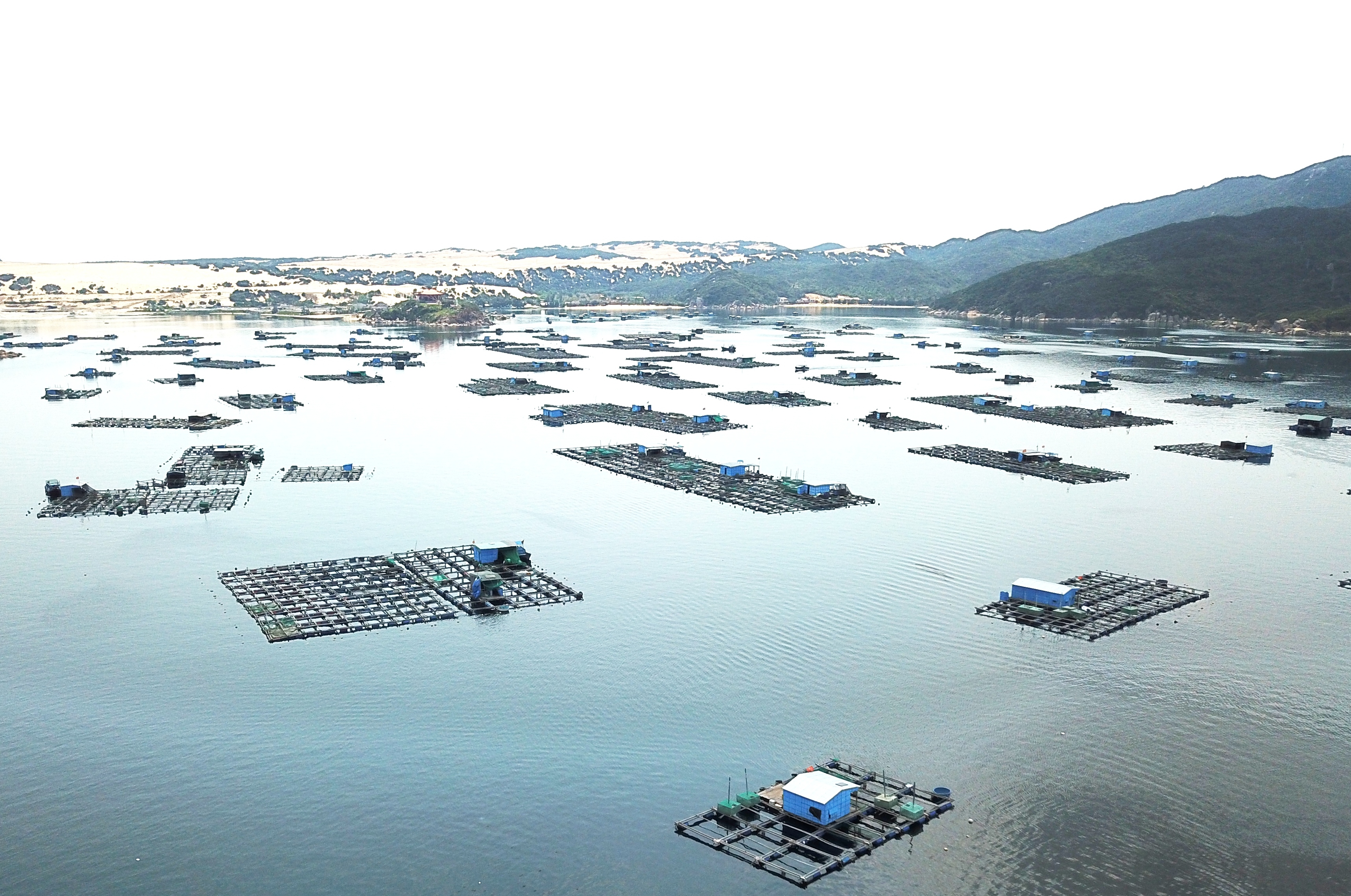 Mở ra cơ hội việc làm mới cho người dân