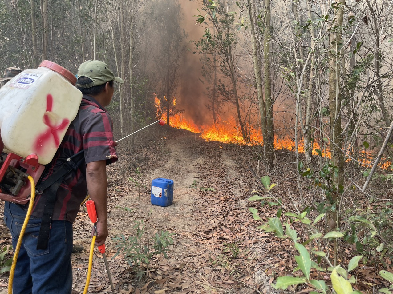 Nguy cơ cháy rừng ở mức cao
