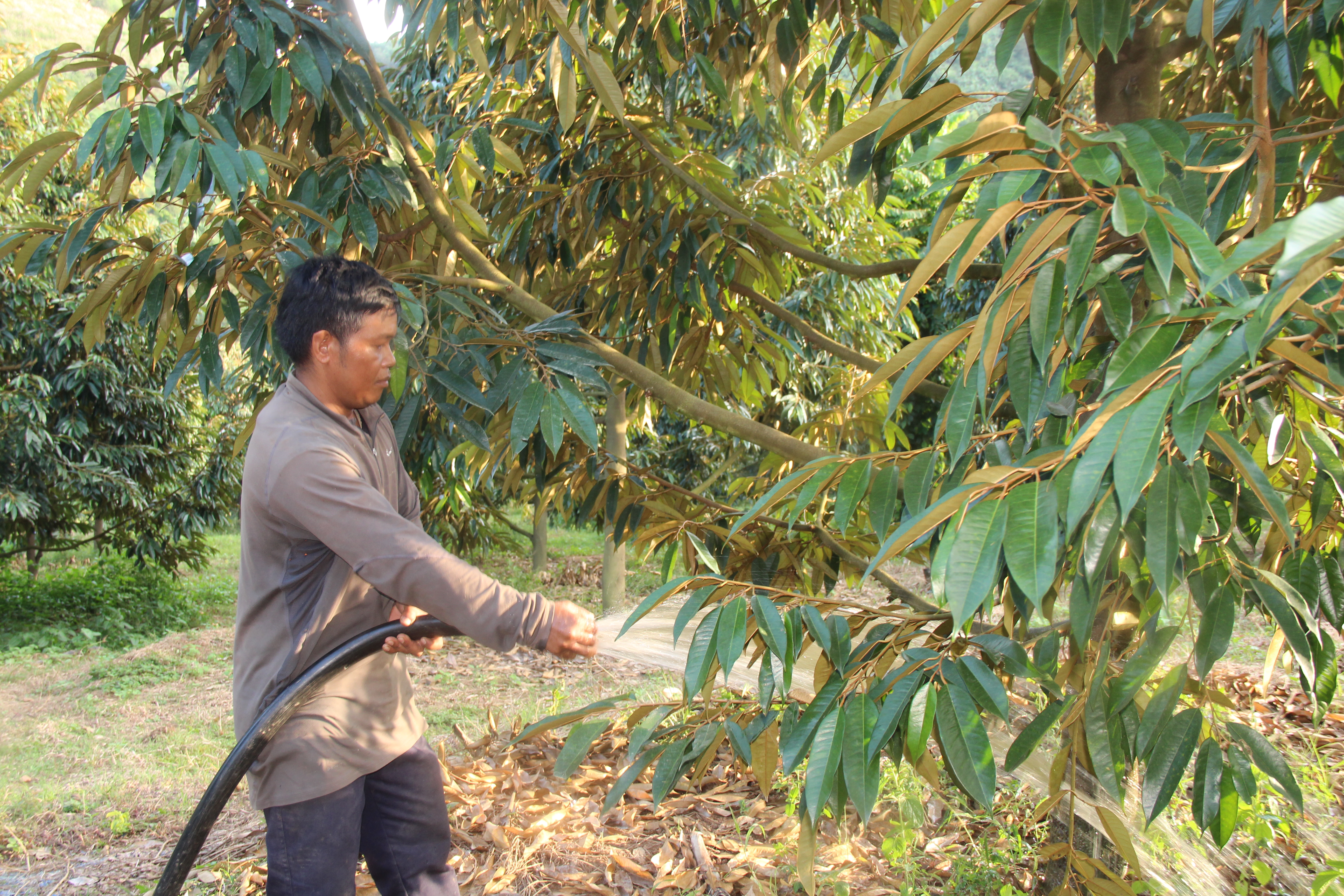 Khánh Sơn: Phấn đấu thoát khỏi huyện nghèo 