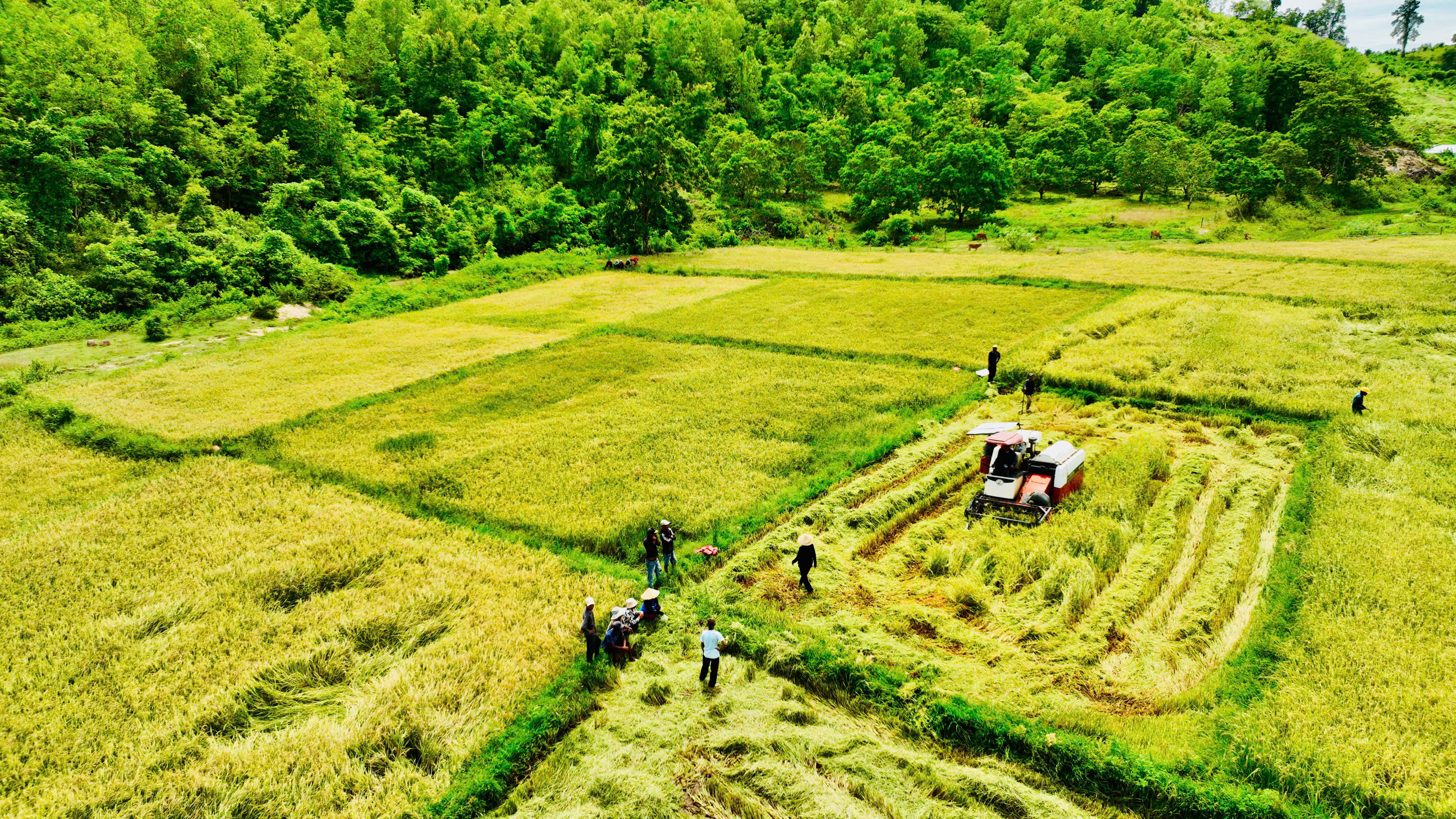 Xã Sơn Tân: Vươn lên nhờ các mô hình kinh tế bền vững