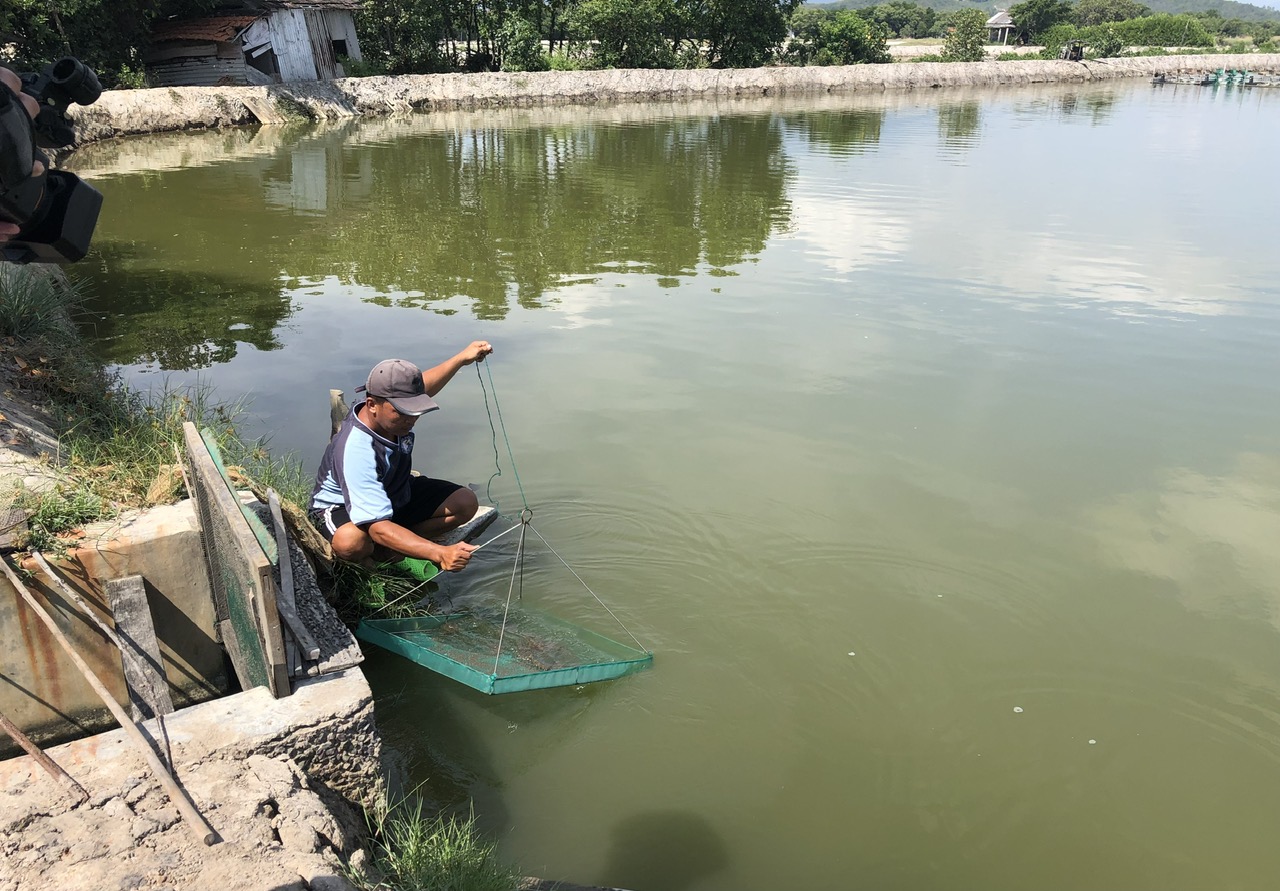 Ninh Hòa: Hiệu quả từ nguồn vốn tín dụng chính sách