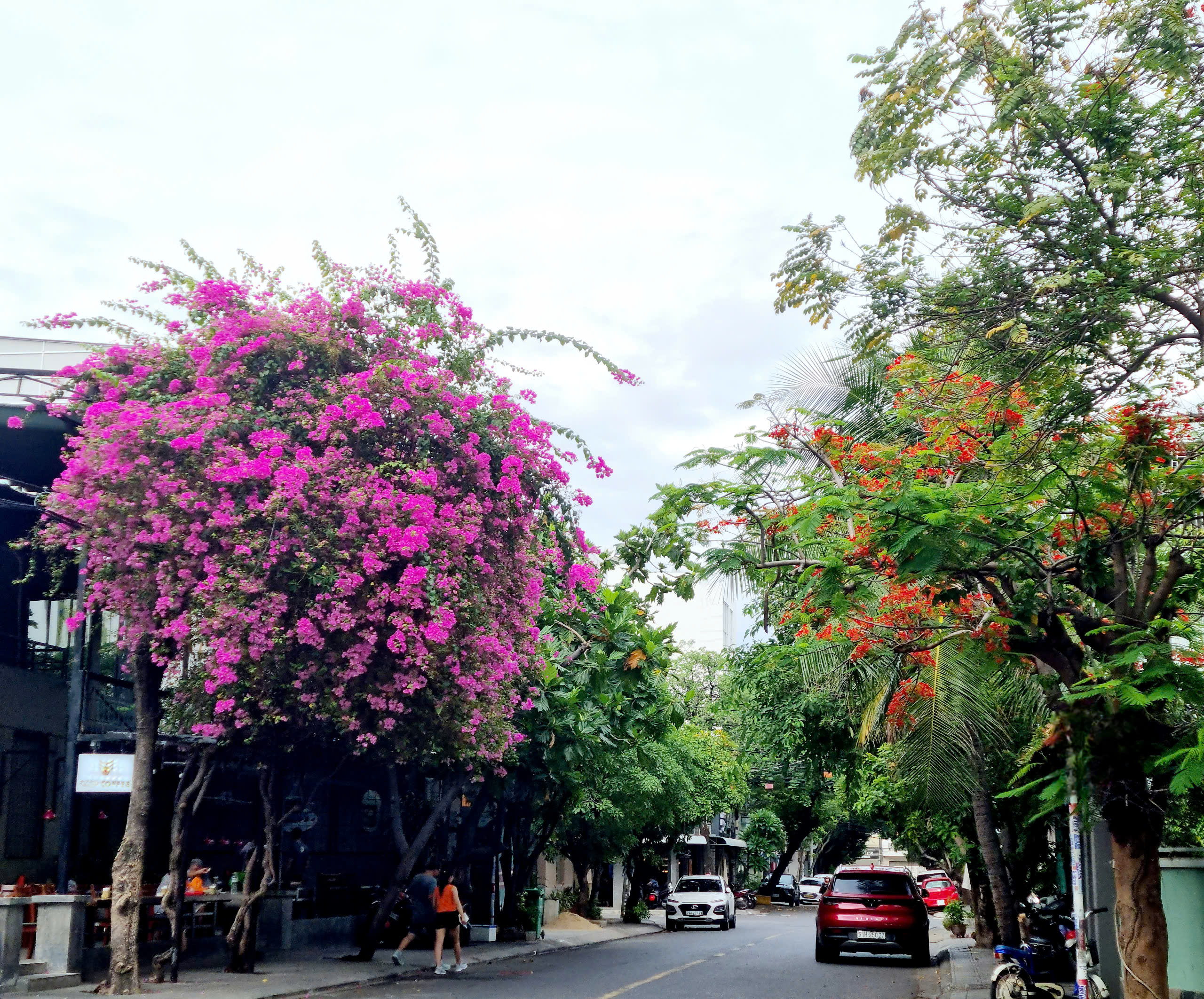 Thức dậy cùng thành phố