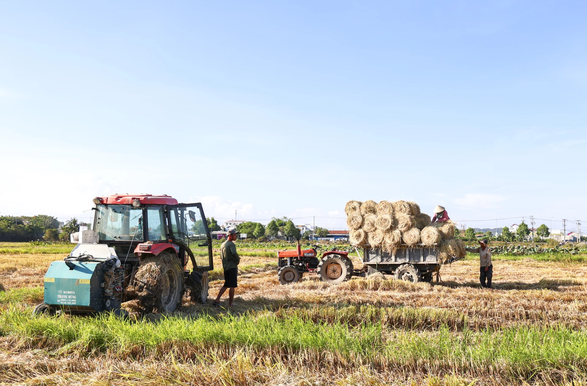 Thích ứng với khô hạn