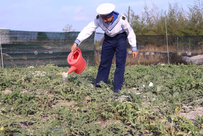 Màu xanh giữa trùng khơi