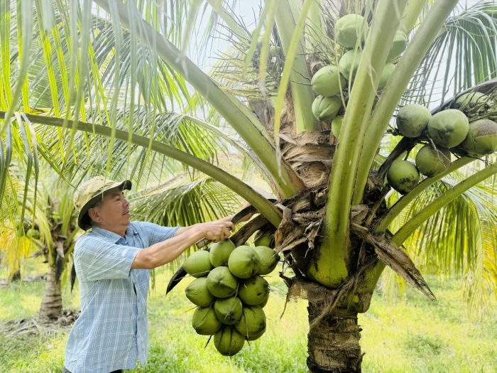 Xã Hòa Trí: Khơi sức bật từ nguồn vốn ưu đãi