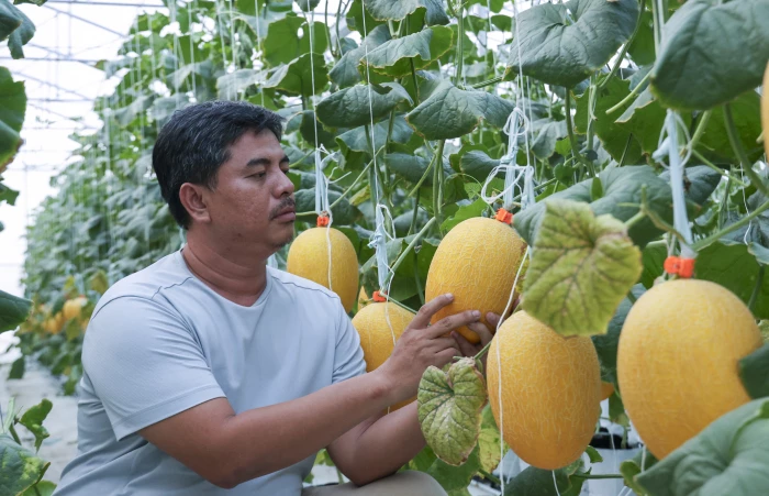 Chuyển mình từ quy mô đến chất lượng