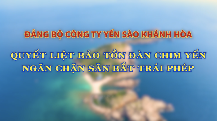 [Video] Đảng bộ Công ty Yến sào Khánh Hòa: Quyết liệt bảo tồn đàn chim yến, ngăn chặn săn bắt trái phép