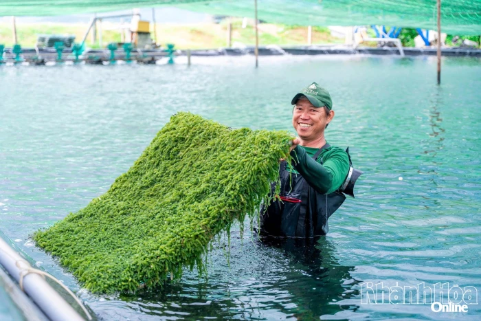 Nâng tầm thương hiệu Việt 