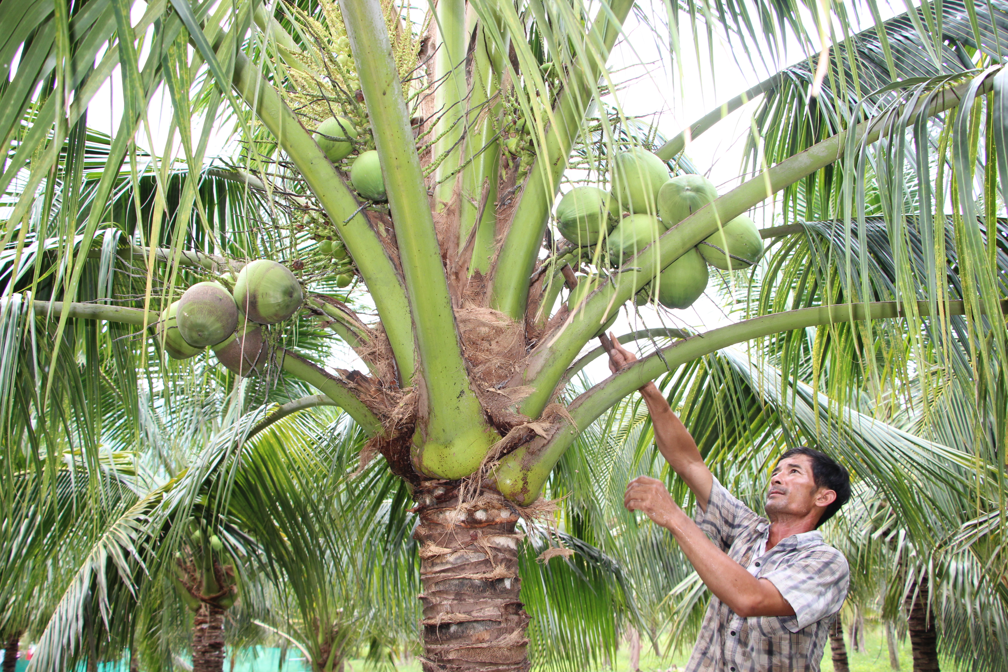 Xã Xuân Sơn: Sôi nổi phong trào thi đua yêu nước