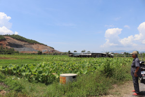 Hộ dân có đất ở cánh đồng thôn Quang Đông (xã Ninh Đông): Sổ cấp một nơi, đất nằm một nẻo