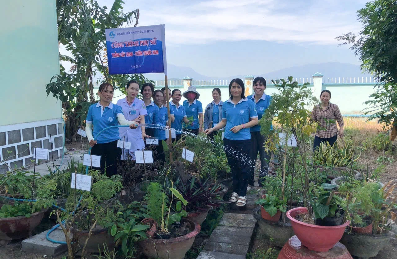 Thiết thực mô hình vườn cây thuốc nam 