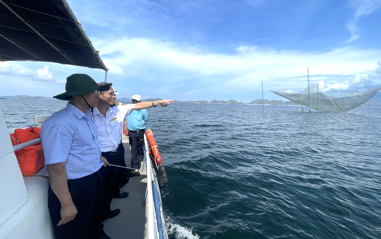 Tình trạng lồng bè lấn chiếm công trình hàng hải trên vịnh Cam Ranh: Cần phối hợp giải quyết dứt điểm