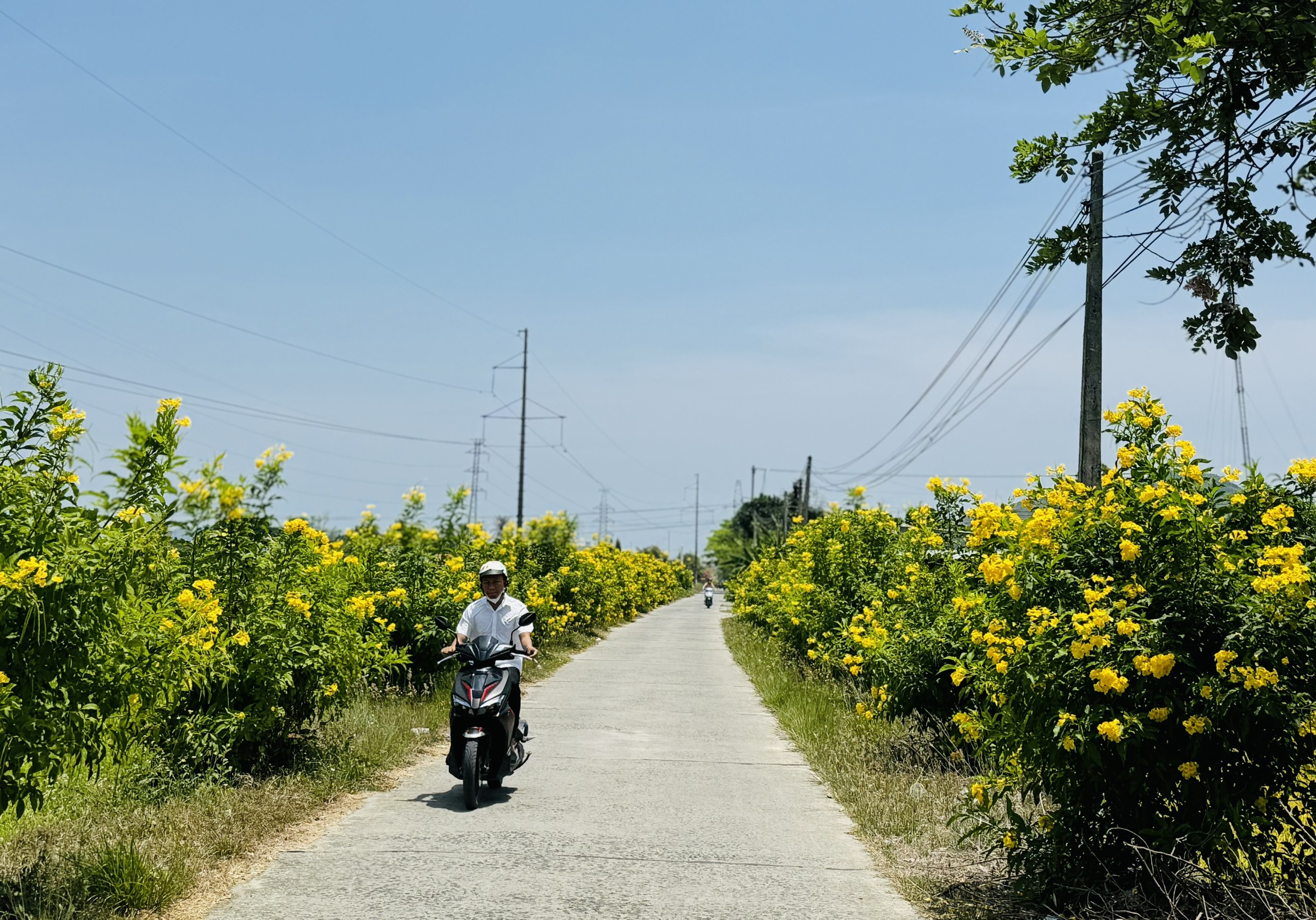 Chào mừng Đại hội đại biểu Mặt trận Tổ quốc Việt Nam tỉnh lần thứ XI, nhiệm kỳ 2024 - 2029: Mặt trận các cấp trong tỉnh: Phát huy tốt vai trò trong xây dựng nông thôn mới
