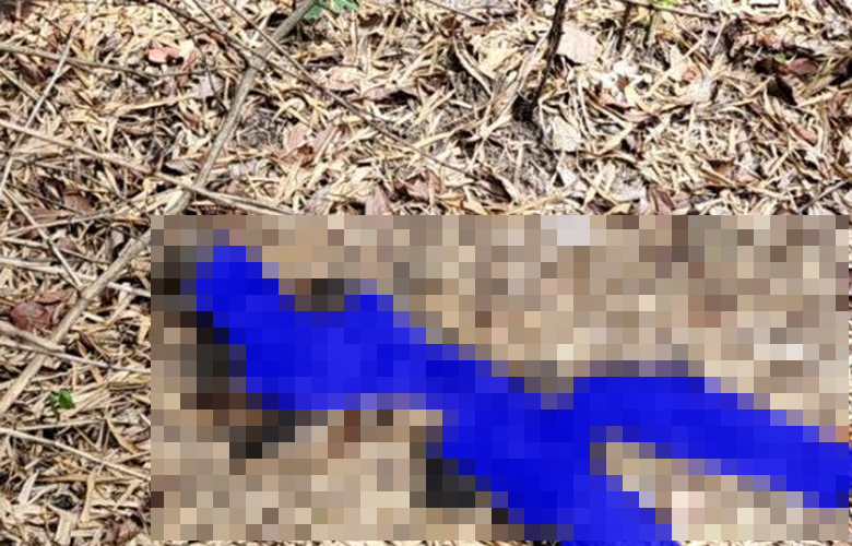 Truy tìm lai lịch nam nạn nhân chết trong rừng