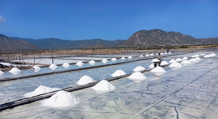 Xã Ninh Hải: Hướng tới nâng cao giá trị hạt muối