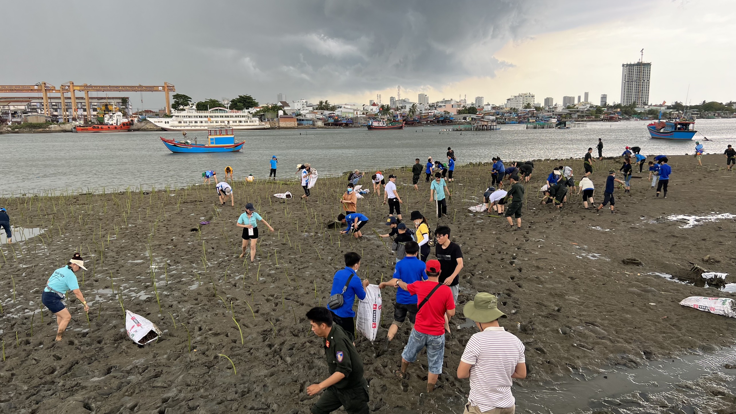Tập trung phục hồi vịnh Nha Trang