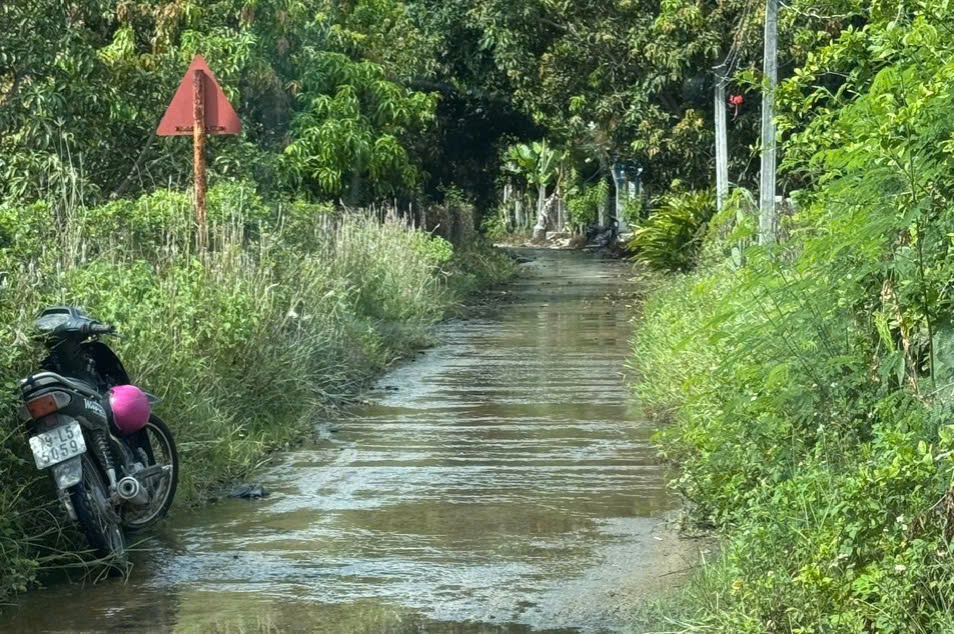 Xã Cam Thành Nam: Sẽ được đầu tư tuyến kênh thoát lũ