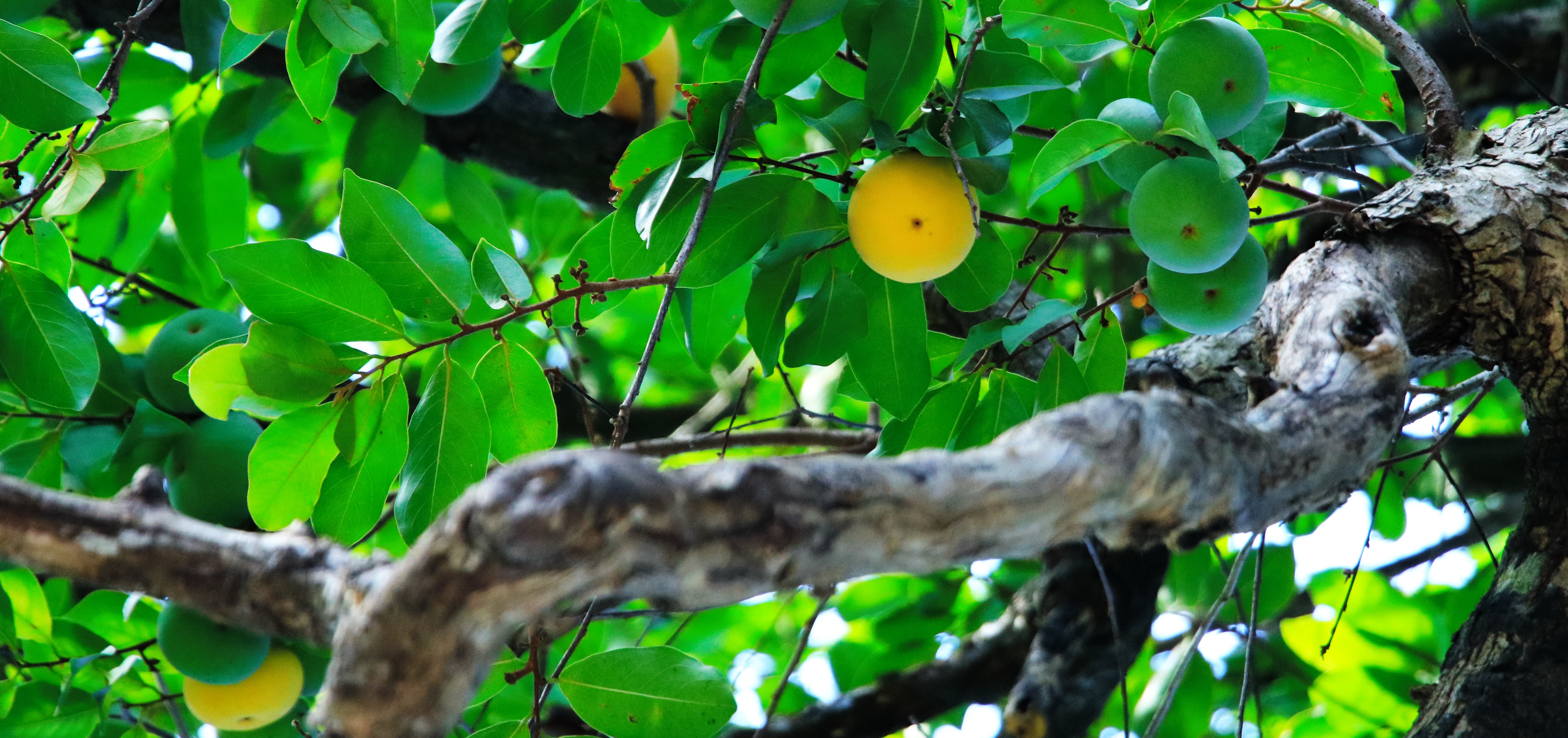 “Tuổi theo mùa đi mãi”