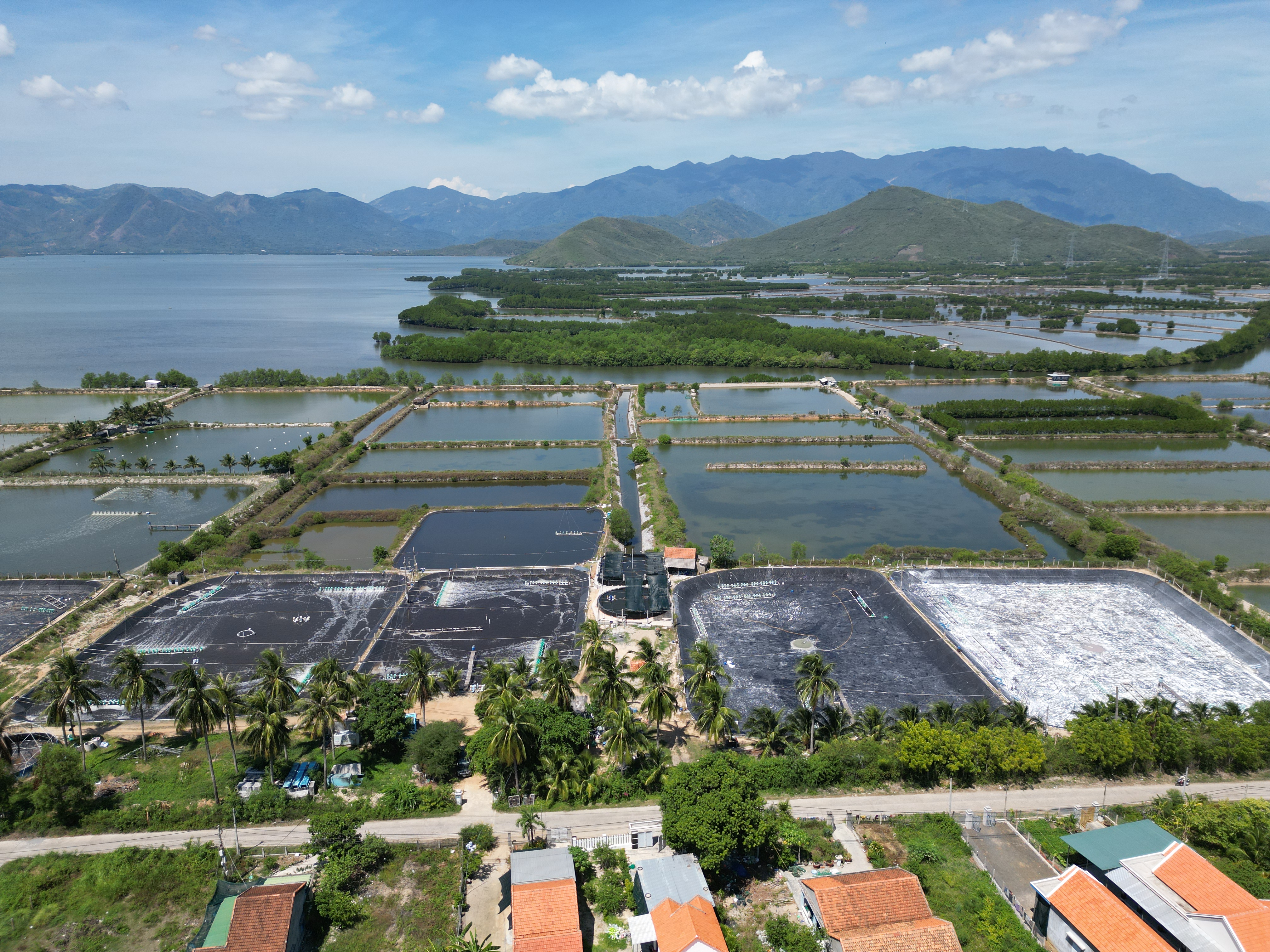 Xã Ninh Phú: Người dân trúng đấu giá nhưng chưa được giao đất