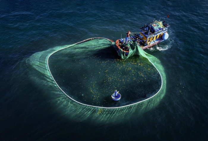 Cà Ná nhộn nhịp mùa cá cơm