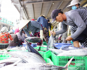 Chống khai thác IUU: Kiên quyết không để tàu cá vi phạm 