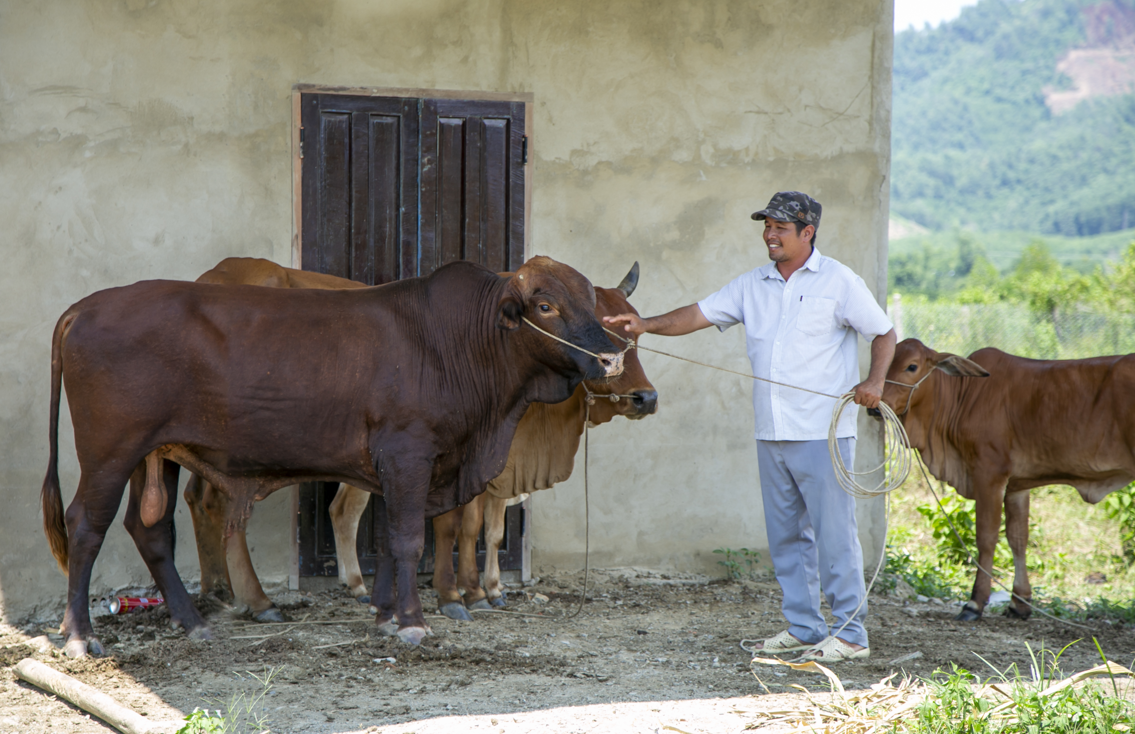 Một nông dân vượt khó vươn lên