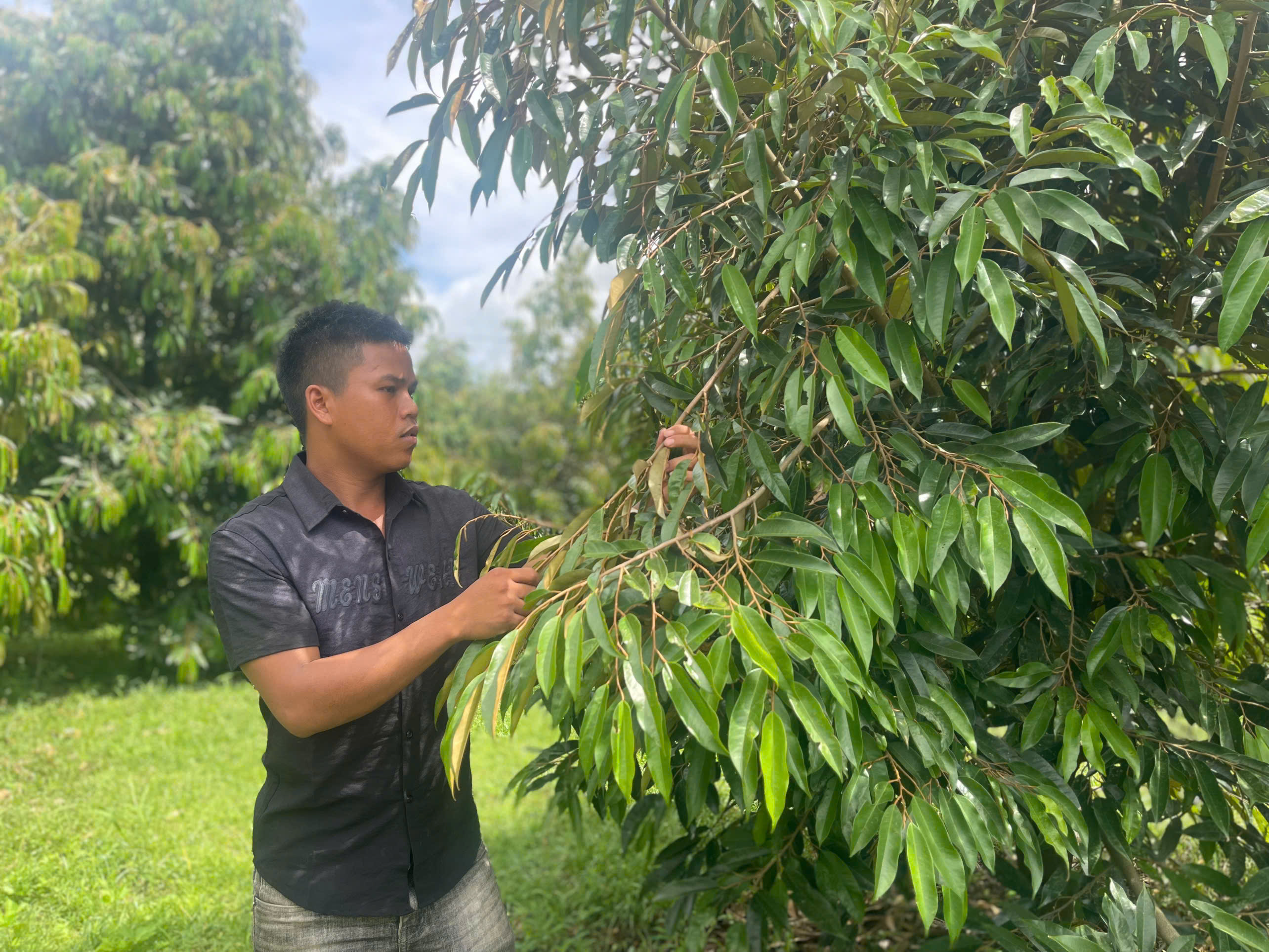 Khánh Sơn: Vốn tín dụng chính sách: Trợ lực giúp giảm nghèo bền vững