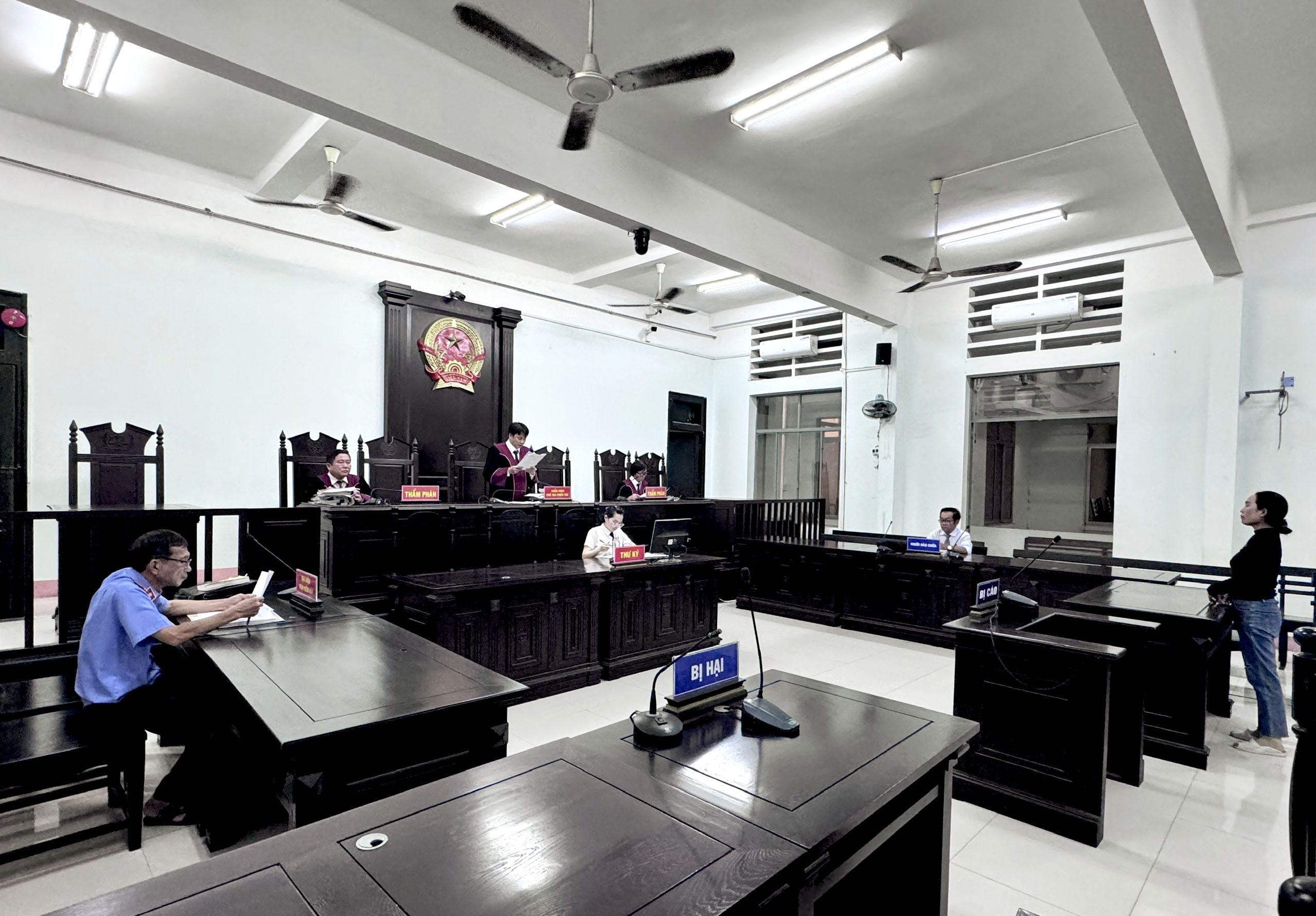 Vụ cháu tâm thần gây trọng thương cho chú: Hủy bản án sơ thẩm để điều tra, xét xử lại