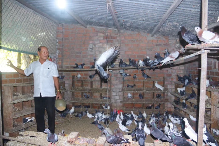 Người cao tuổi làm kinh tế giỏi