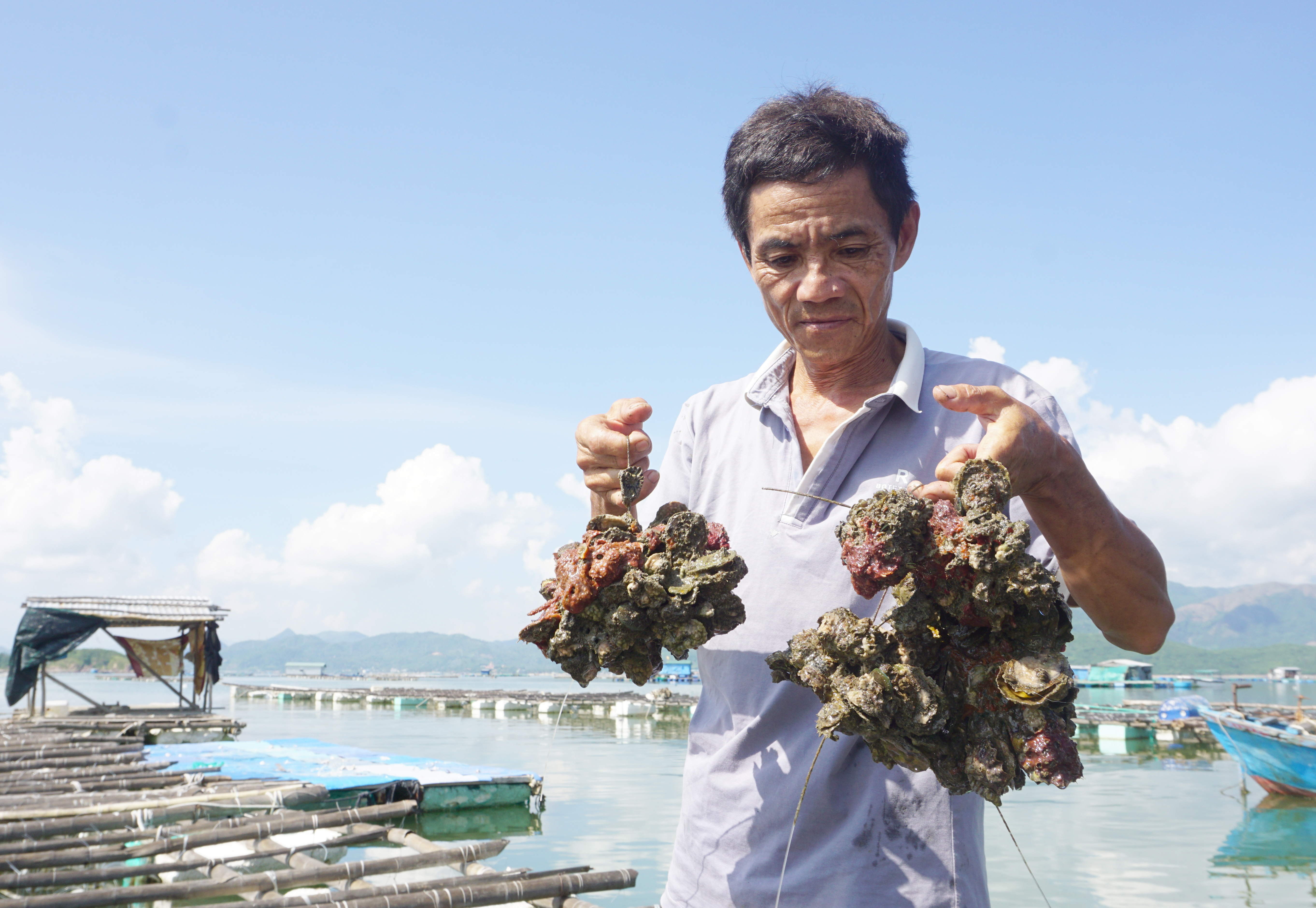 Thủy sản nuôi bị chết bất thường