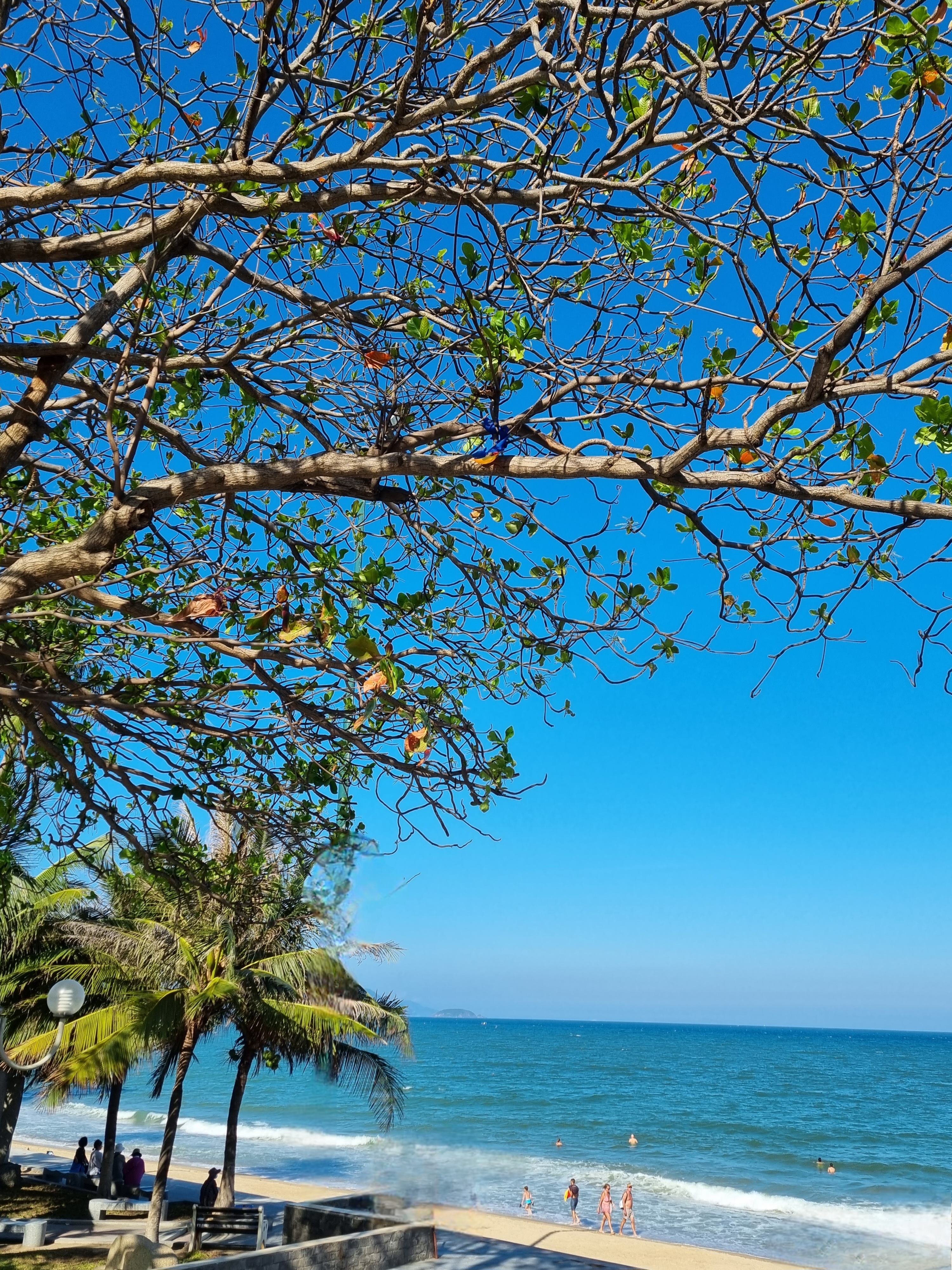 Nha Trang dịu êm giữa khúc giao mùa