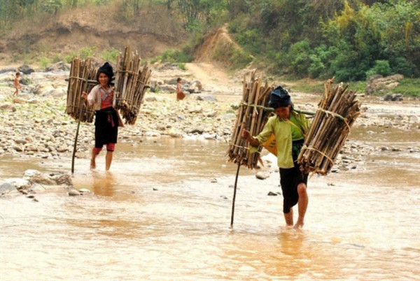 Nhớ một thời đi củi