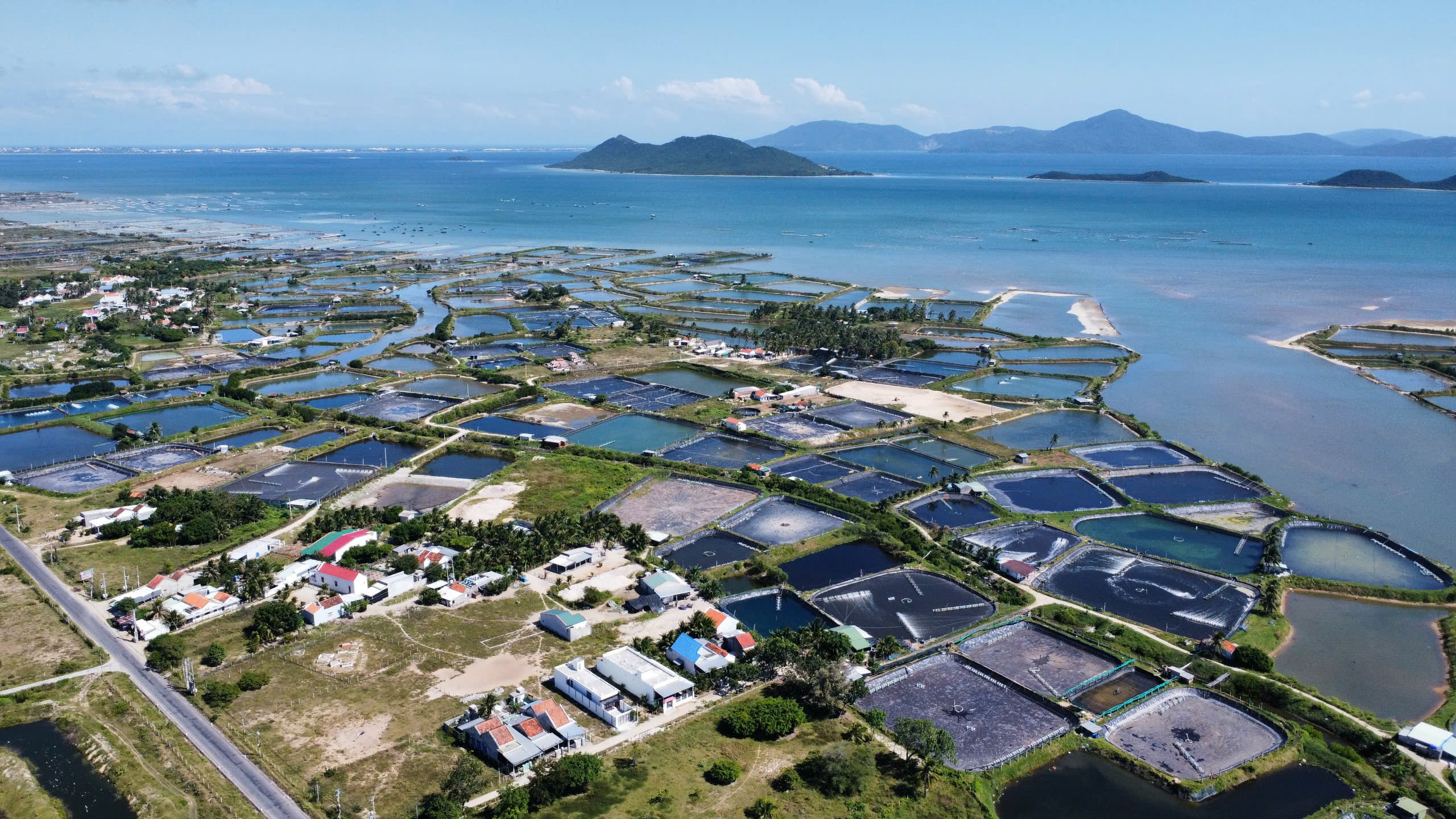 Tiếp thu, hoàn thiện Đề án nghiên cứu khả năng hình thành Cảng Hàng không quốc tế Vân Phong