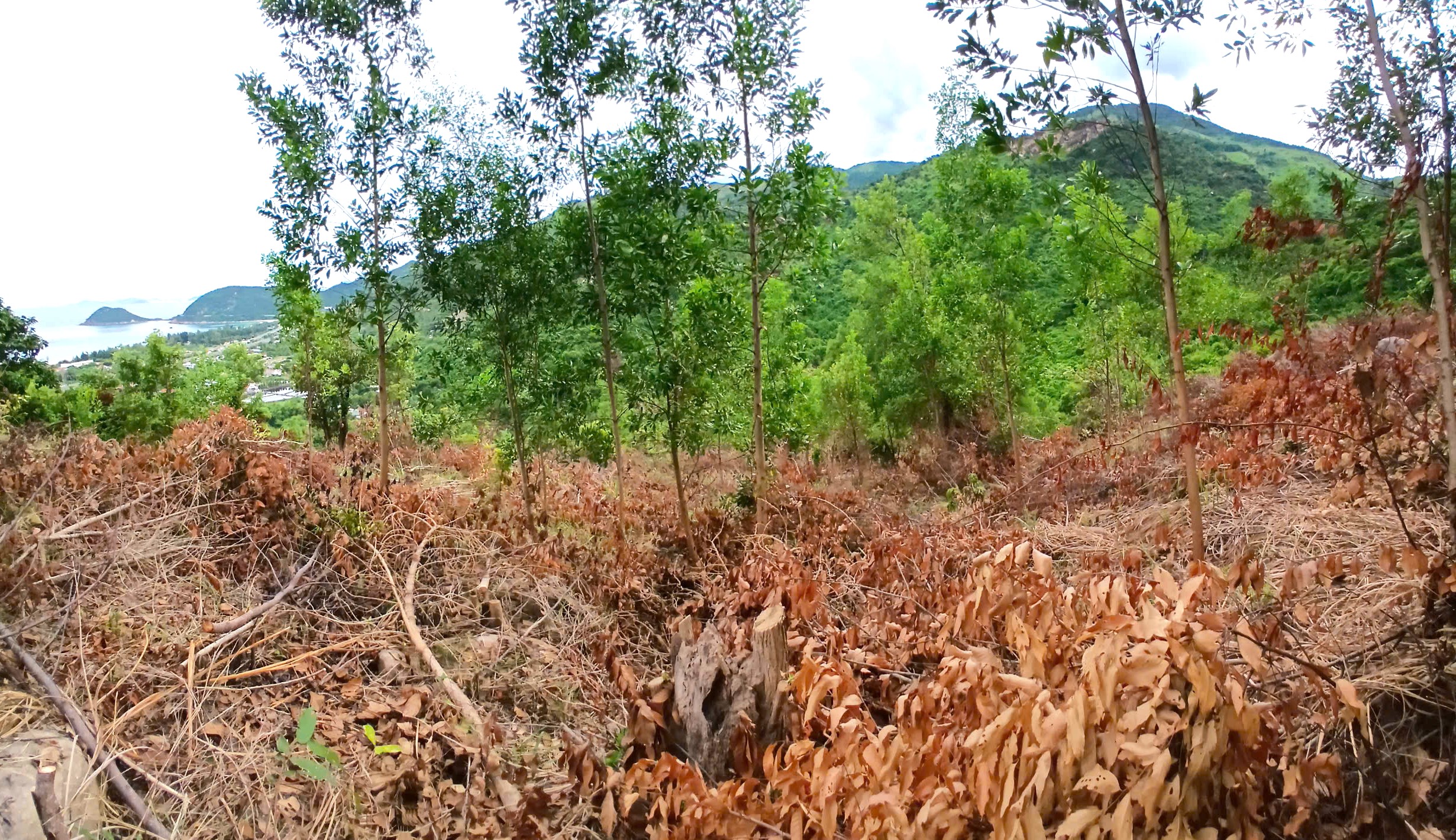 Vụ khiếu nại đất đai ở Vạn Ninh: Địa phương đã hướng dẫn người dân làm thủ tục theo quy định