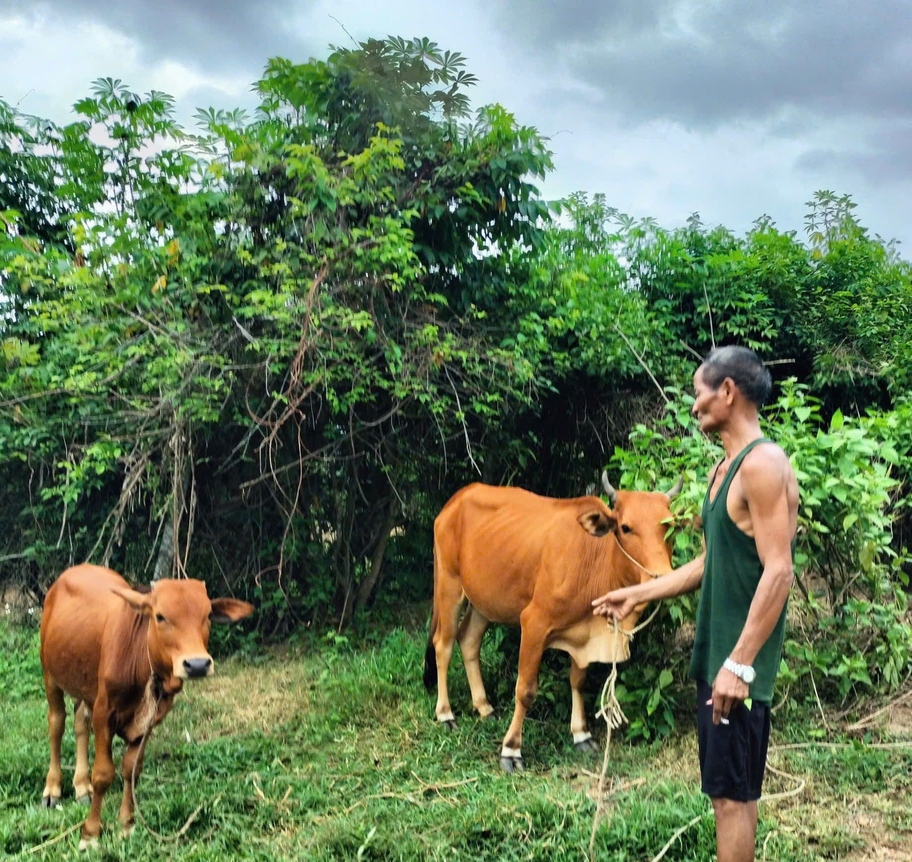 Chung tay hỗ trợ để thoát nghèo bền vững 