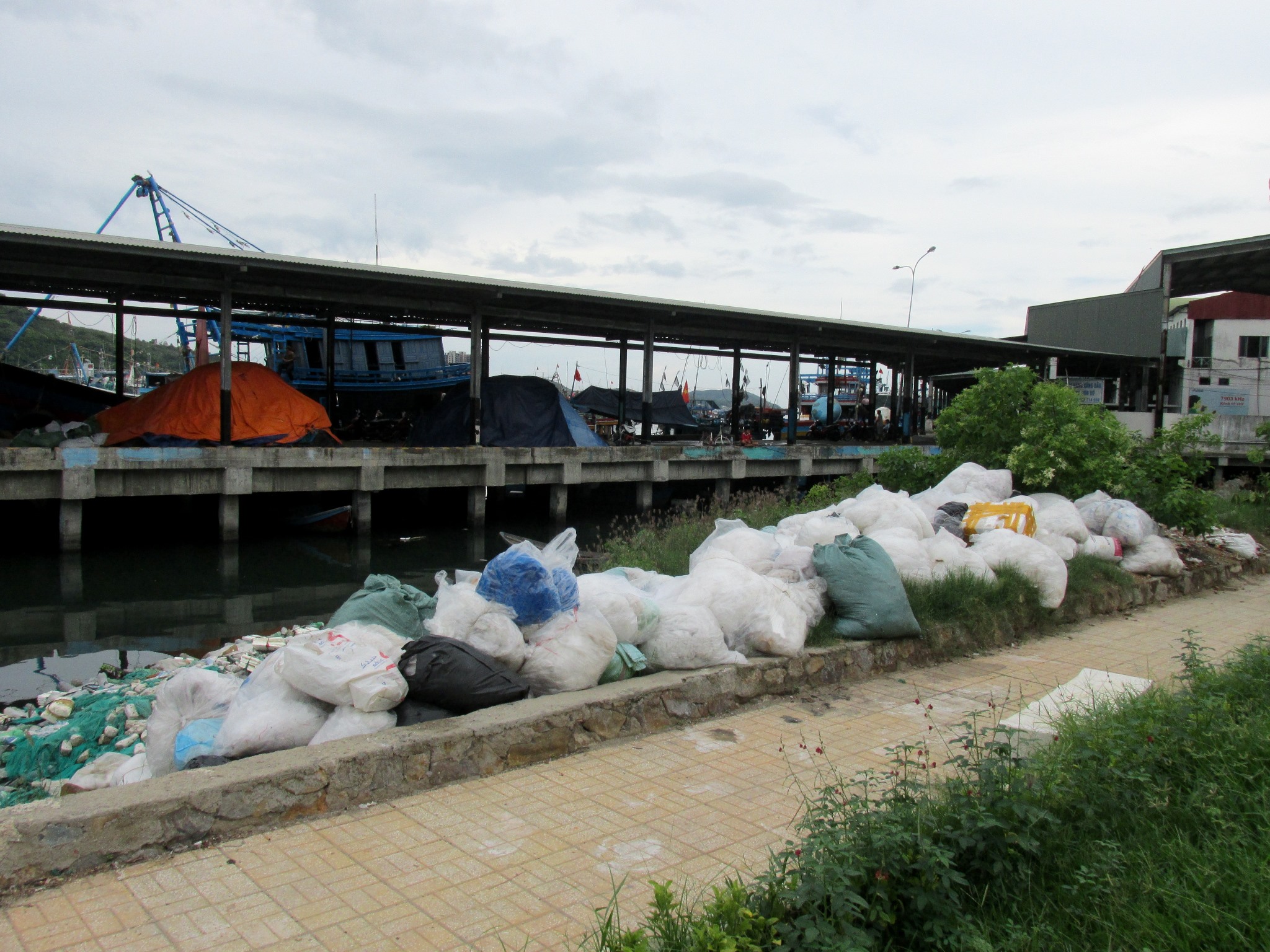 Bỏ rác bừa bãi ở khu vực cảng cá Hòn Rớ