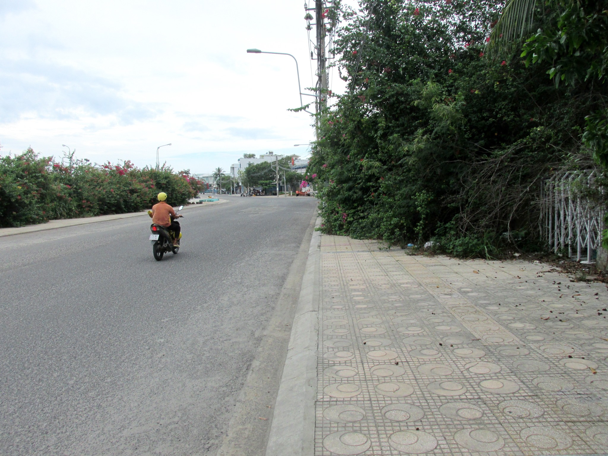 Cây xanh bao phủ kín vỉa hè