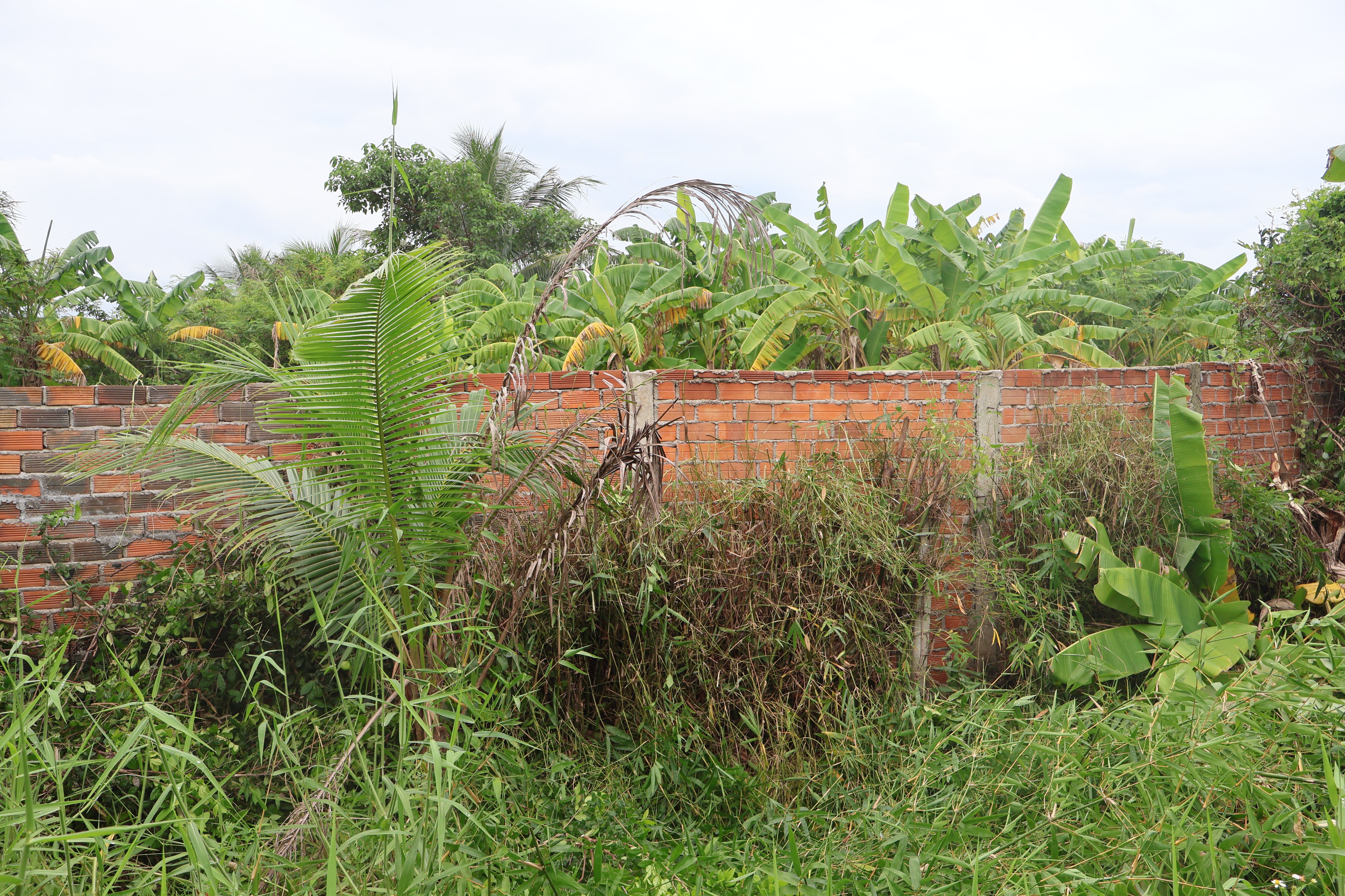 Khiếu nại về việc lấn chiếm đường đi chung tại xã Ninh Quang: Thị xã Ninh Hòa chỉ đạo khẩn trương xử lý dứt điểm
