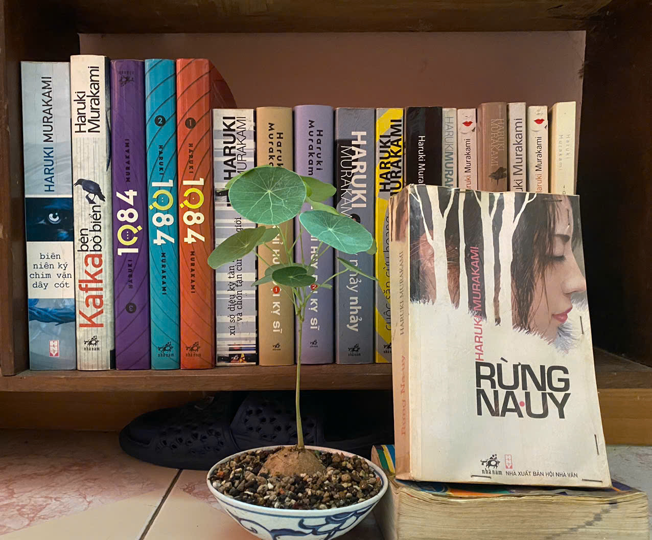 Bao giờ đến lượt Haruki Murakami?