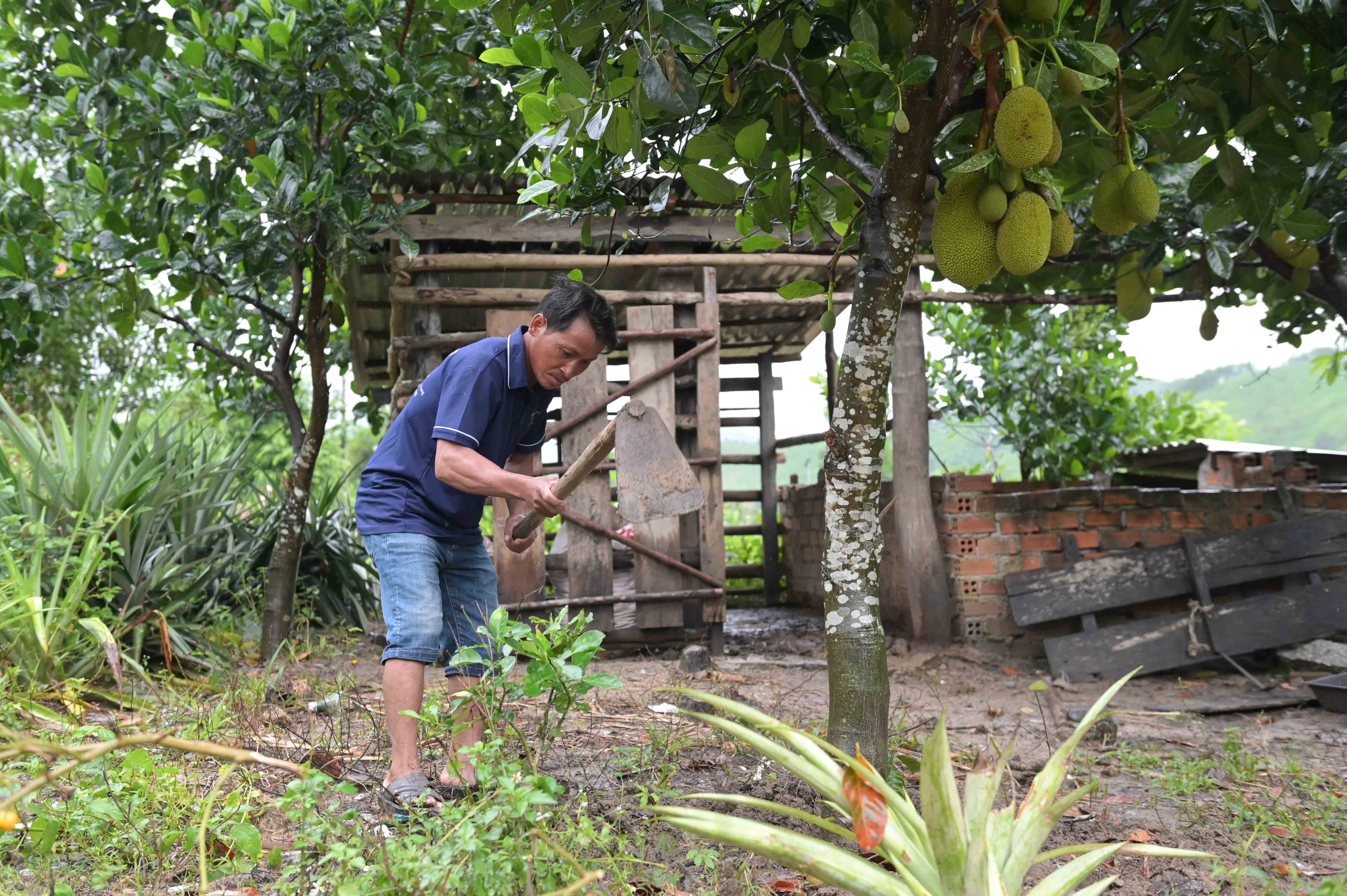 Gia đình nông dân cần cù, vượt khó thoát nghèo