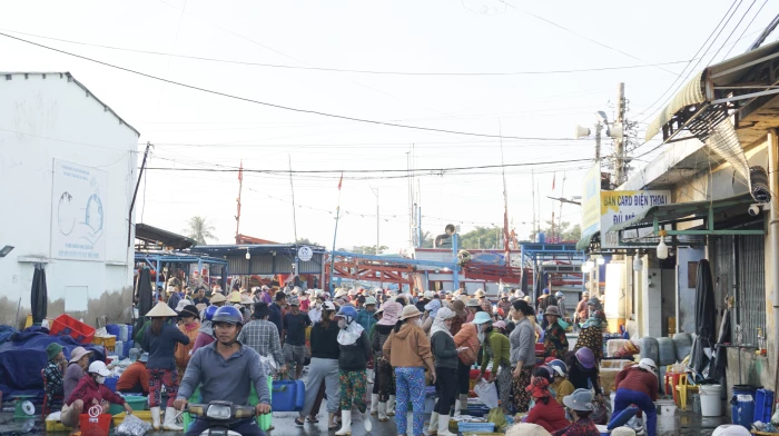 Giảm tải cho cảng cá Đông Hải